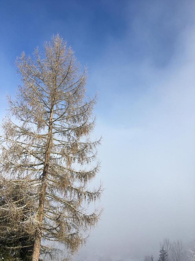 Grimming Appartement Schladming Sonnberg  Dış mekan fotoğraf